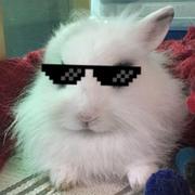 daboluoguaileguai同学的个人资料头像