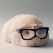 atopom的个人资料头像