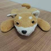 爱哭的毛毛虫爱学习的个人资料头像