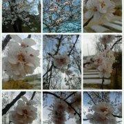 我是最最最爱的的个人资料头像