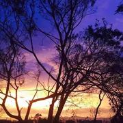 Dasu35605的个人资料头像