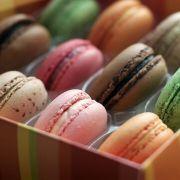 猫猫跳啊的个人资料头像