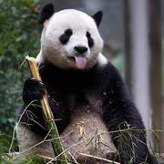 Return的个人资料头像