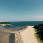 Justwedo的个人资料头像