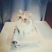 huhuf5的个人资料头像