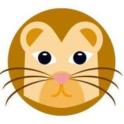 yaoleiliu的个人资料头像