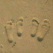 JsonWXF的个人资料头像