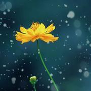 李云同志35978的个人资料头像