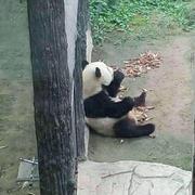 jayronlou的个人资料头像