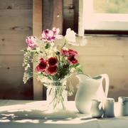 木鱼妮子的个人资料头像