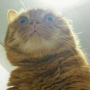 YL不想说话36141的个人资料头像