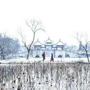 Quan酱的个人资料头像