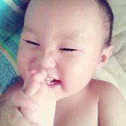 愤怒的刺猬的个人资料头像