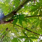 张磊同志36319的个人资料头像