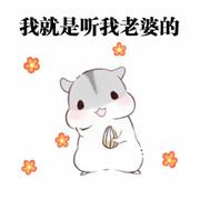 Invoker2017的个人资料头像