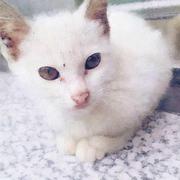 古岛的个人资料头像