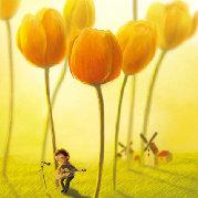 白开水光电的个人资料头像