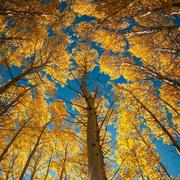 张飞飞的个人资料头像