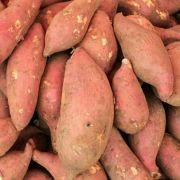 红薯OSChina的个人资料头像