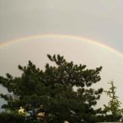 假装是君子的个人资料头像