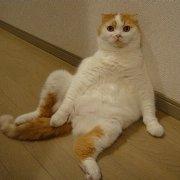 春秋小霸王的个人资料头像