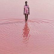 爱学习的个人资料头像