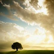 永不止步同学的个人资料头像