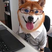 空速星痕的个人资料头像