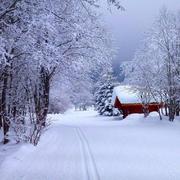 ValueError的个人资料头像