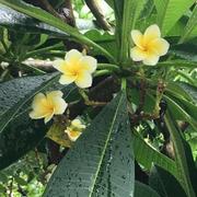 A海岸线的个人资料头像