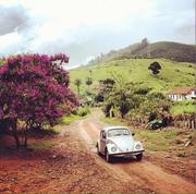 阿斯特雷的个人资料头像