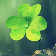 爱笑的女孩爱学习的个人资料头像