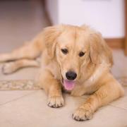 董婉的个人资料头像