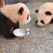 learnfromzero的个人资料头像