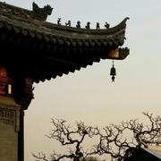 wu就是我37031的个人资料头像