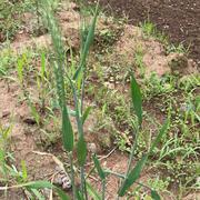 阿春阿乐的个人资料头像