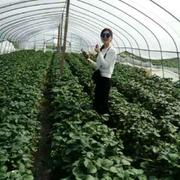 huanhuan077的个人资料头像