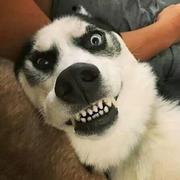 ArvinCao的个人资料头像