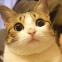 sunny586的个人资料头像