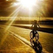 sun酱37342的个人资料头像