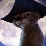 曜营墘的个人资料头像