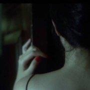 PONYBROWNs的个人资料头像