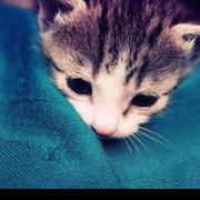 顽主同志的个人资料头像