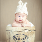 taozhuwen的个人资料头像