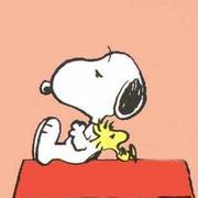 snoopy1024的个人资料头像