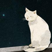 Miracle君37517的个人资料头像