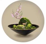 王瑾的个人资料头像