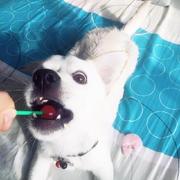 qiuqiui的个人资料头像