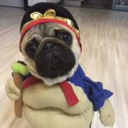 纯仔的个人资料头像