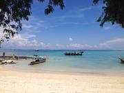 yangchch的个人资料头像